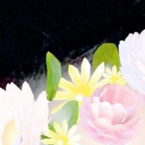 Meet your Posher, Keylee